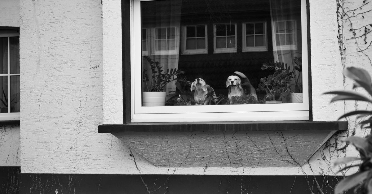 DIY Recipes for Homemade Cleaners for Double Glazed Windows