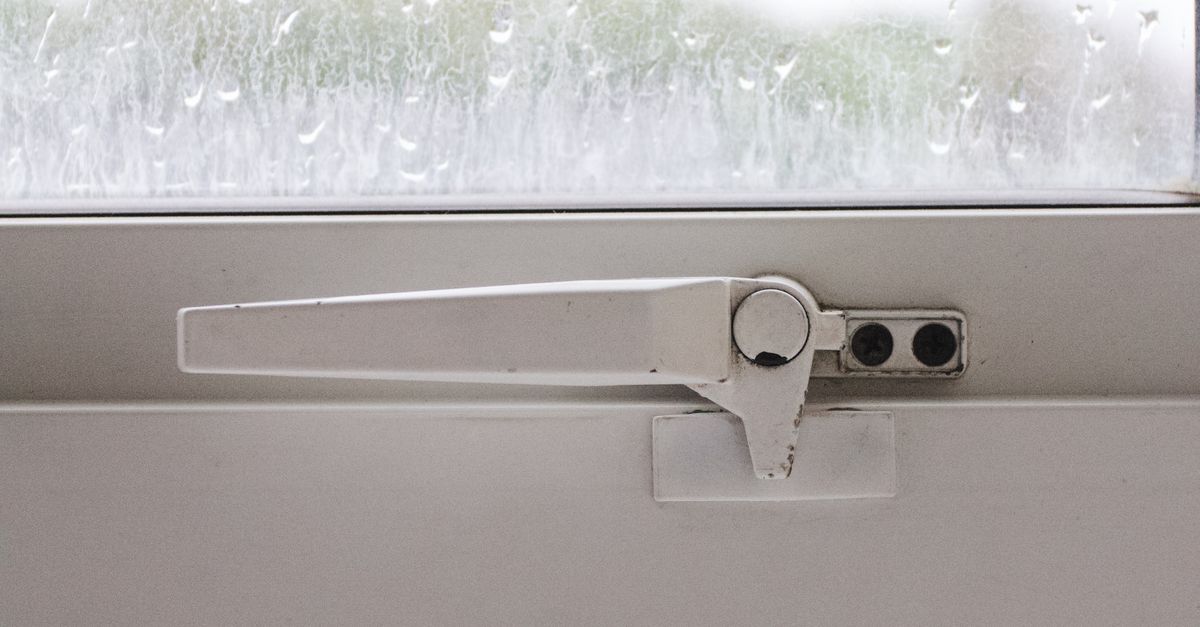 Eco-Friendly Cleaning Solutions for Your Double Glazed Windows