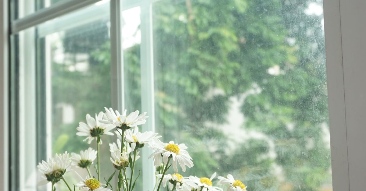 Overlooking the Importance of Adequate Insulation