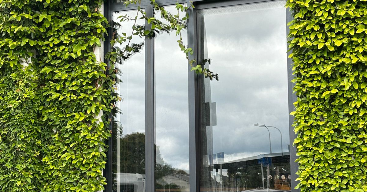 The Role of Double Glazed Windows in Home Security Systems
